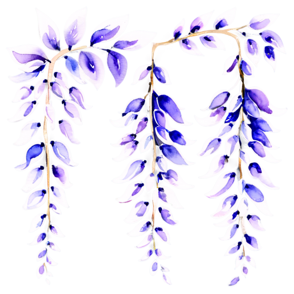 Watercolor painting of purple flowers on a black background png