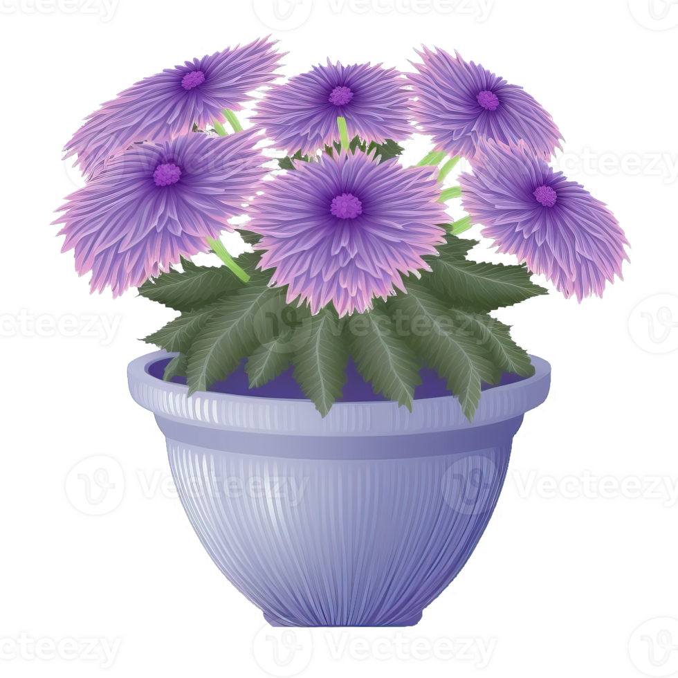 Elegant Potted Flower on a Clear Background. Sumptuous flora in a stylish pot, perfectly isolated for pristine presentation. png