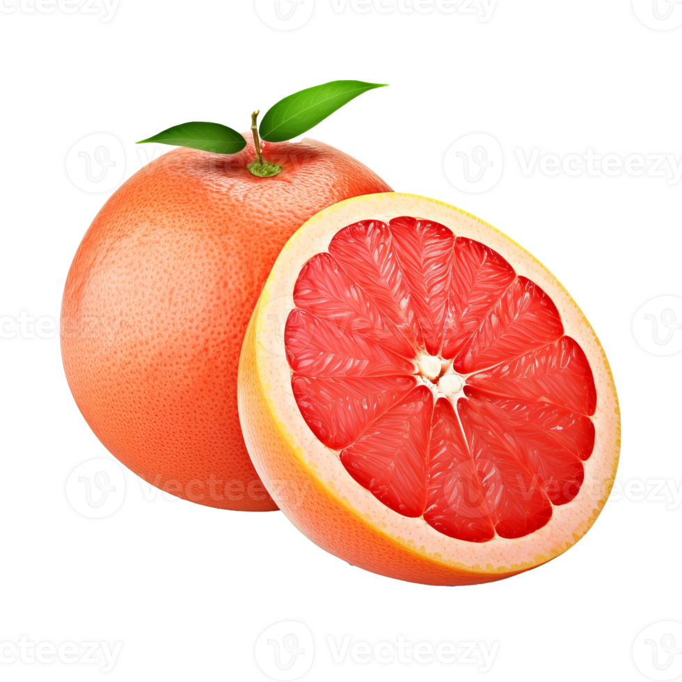 Grapefruit illustration showcasing the entire fruit, complete with flesh and texture detail, against a clear backdrop. png