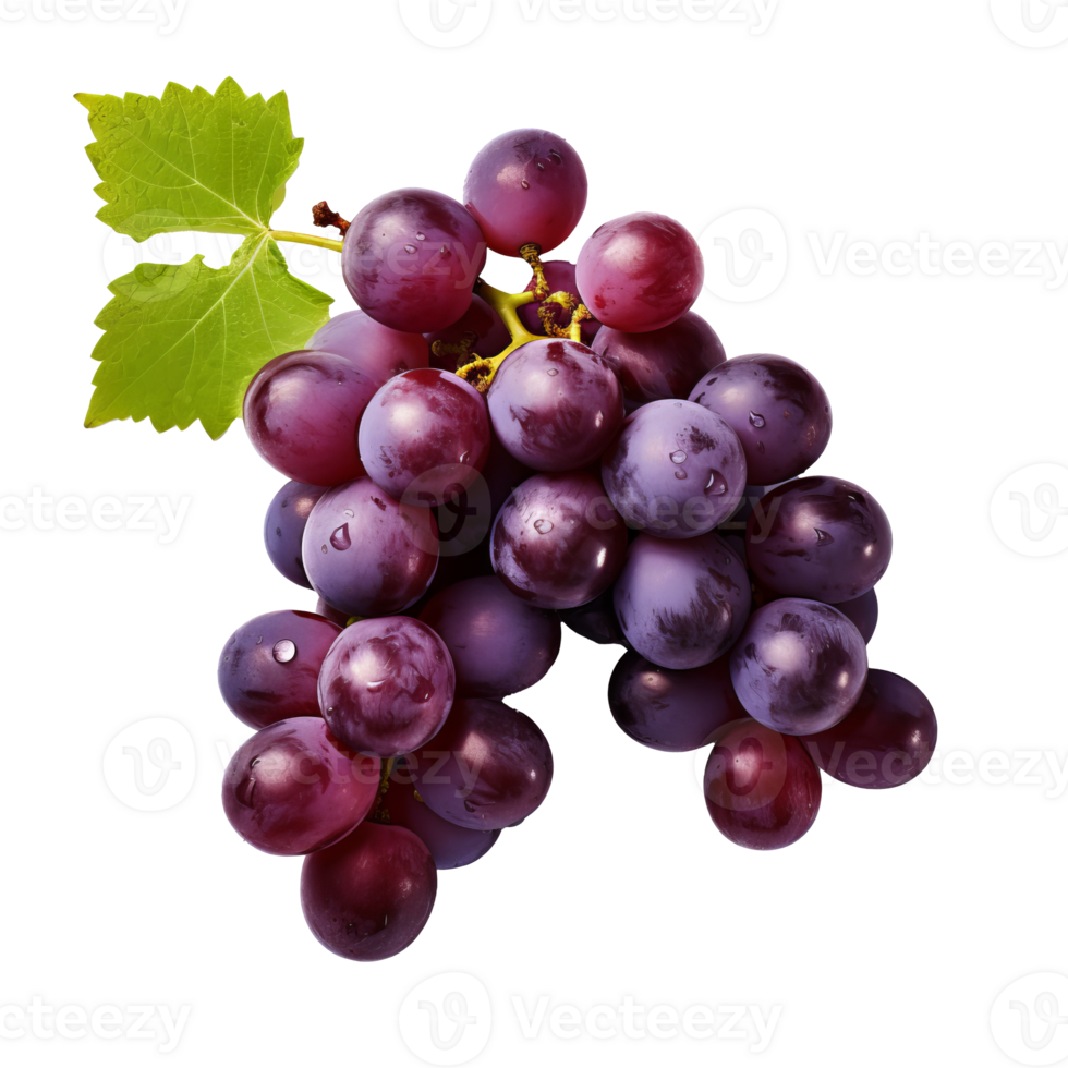 un detallado, cuerpo completo imagen de un uva visible en contra un claro fondo, exhibiendo sus textura y color con No rodeando distracciones png