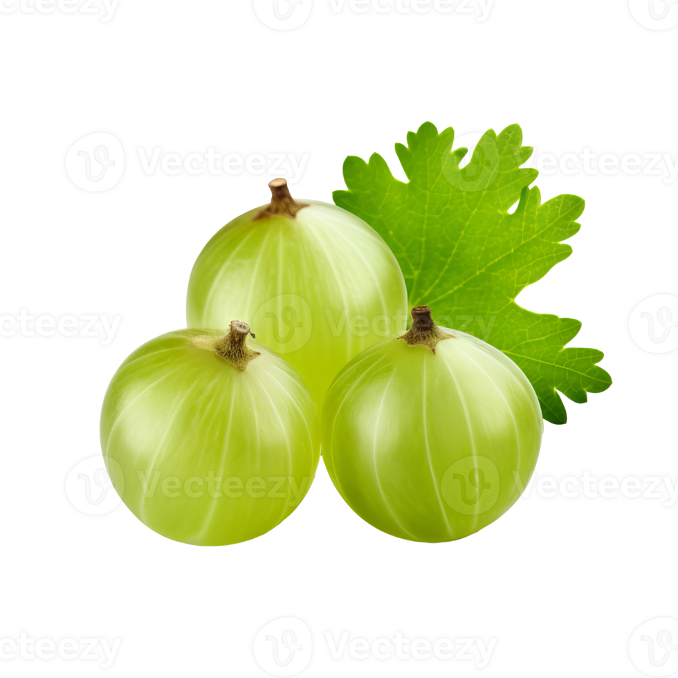 Gooseberry with full ripe body, green textured skin, translucent flesh visible against a clear background. png