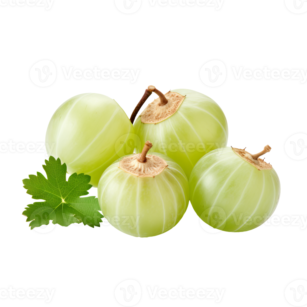 Gooseberry fruit with a complete, unobstructed view, showcased against a clear, invisible backdrop. png