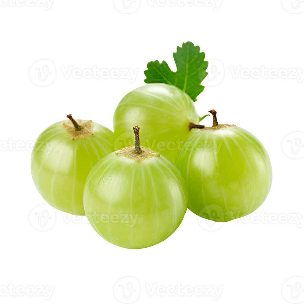Fresh, ripe gooseberry fruit with a vivid green hue and fine hairs, showcased in its full form, isolated on a transparent background. png