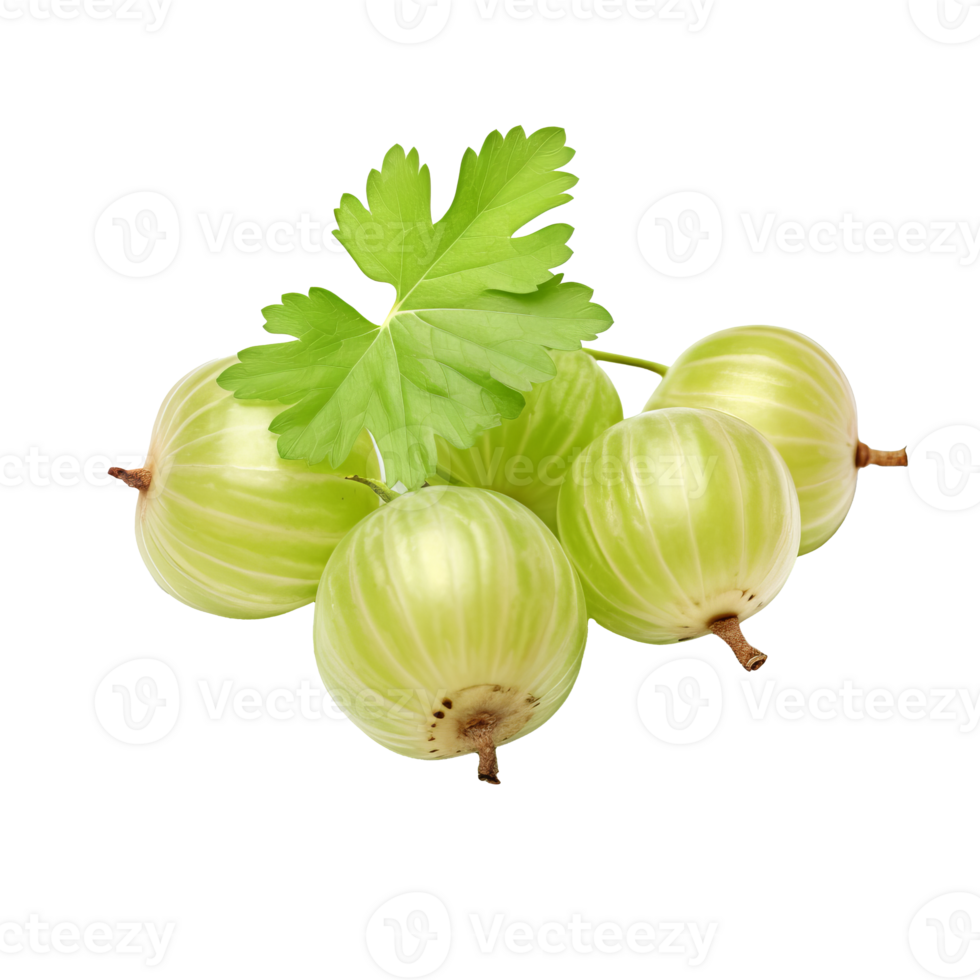 Gooseberry with complete form, vivid green hues, fine textures, and a clear backdrop. png