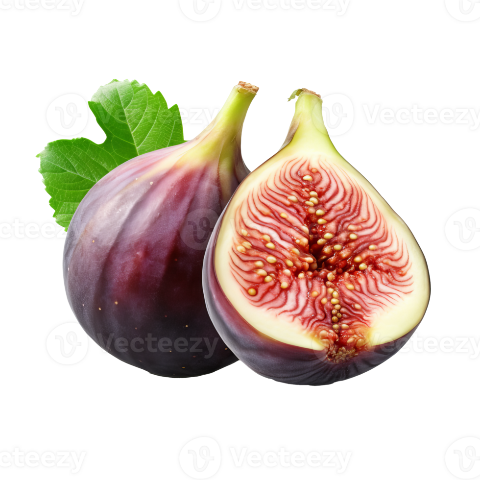 Fig fruit, ripe and detailed with a full body view, isolated on a clear transparent background for versatile use. png