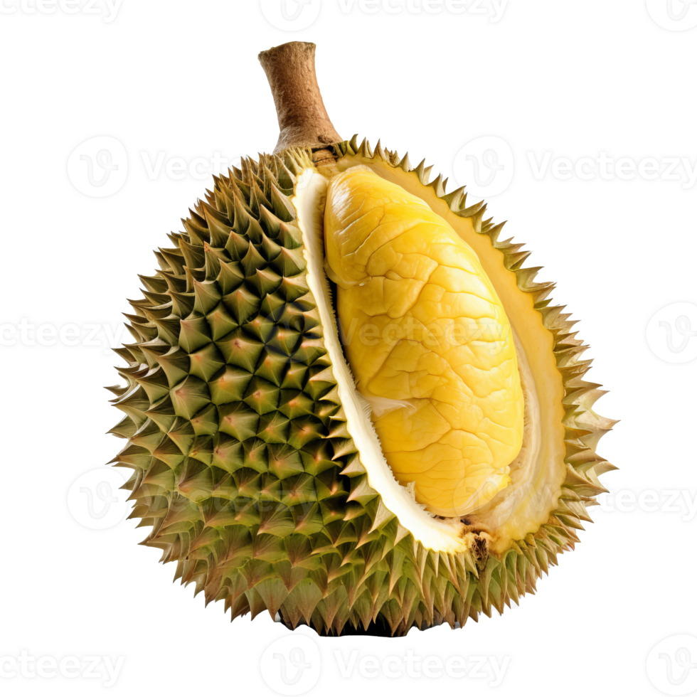 Illustration of a whole durian fruit with its spiky shell, known for its strong odor, displayed clearly against a transparent backdrop. png