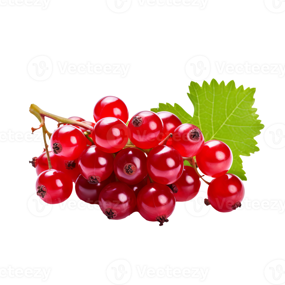 Red currant fruit cluster with leaves and stem, ripe and glossy, displayed in entirety, isolated on a transparent backdrop. png
