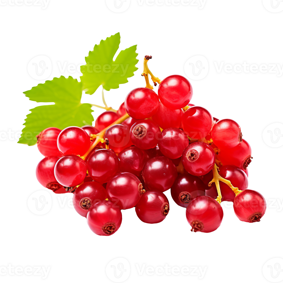 Full-bodied currant fruit cluster, rich in color, displayed prominently against a clear, transparent backdrop. png