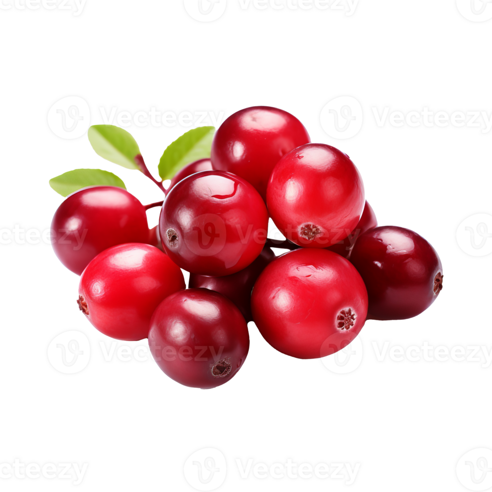 Cranberry, deep red, full-bodied fruit cluster, detailed texture, displayed prominently on a clear background. png