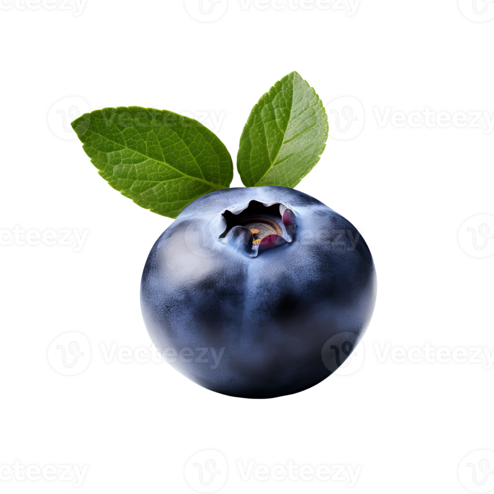 Blueberry character with a complete, vividly colored figure displayed against a clear, invisible backdrop. png