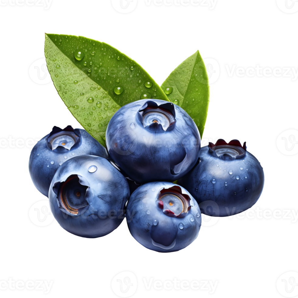 Illustration of a plump blueberry with detailed texture and highlights, rendered in full body view, set against a transparent backdrop. png