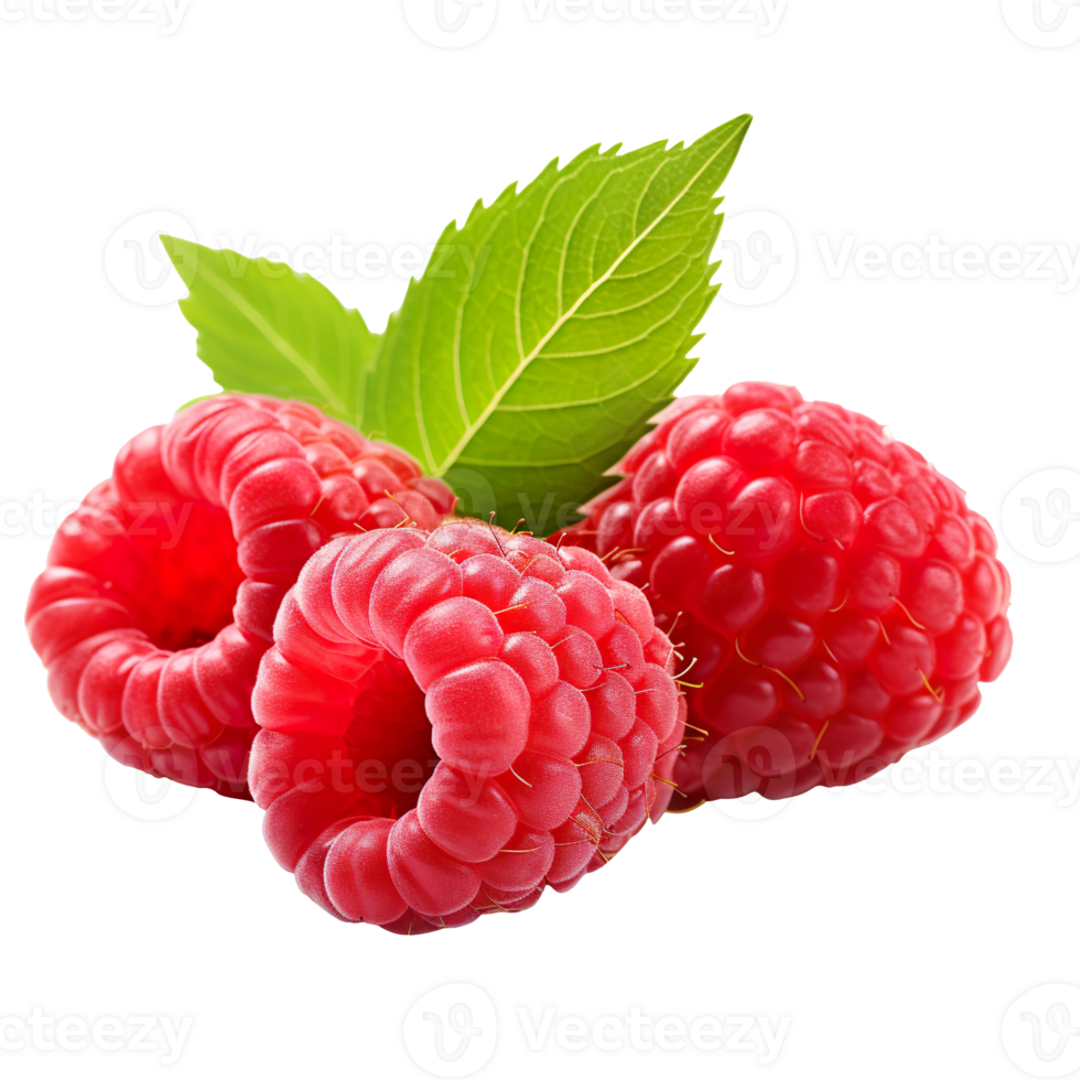 Fresh raspberries isolated on transparent background png