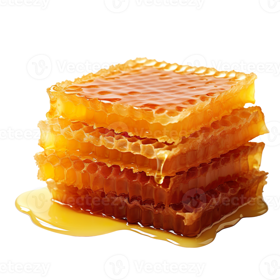honey comb isolated on transparent background png