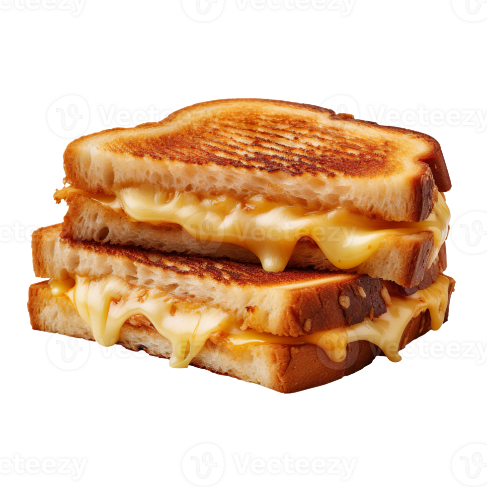 Grilled sandwich isolated on transparent background png