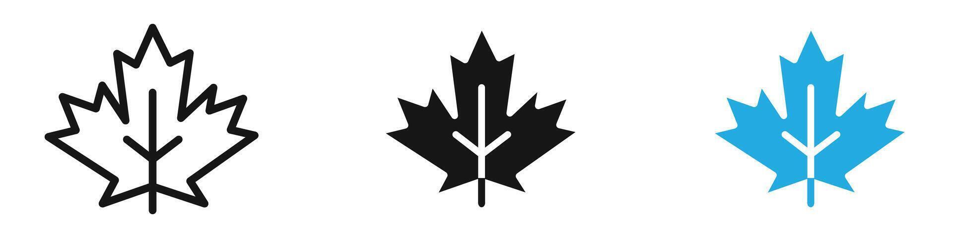 Maple leaf icon illustration vector