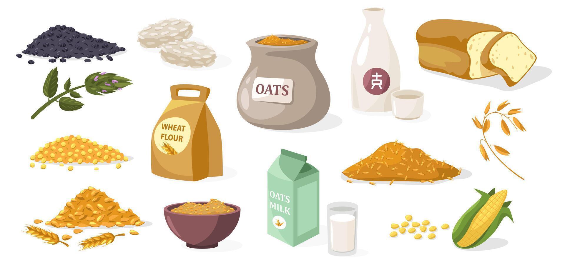 Cereal grains. Cartoon cereal flour rice wheat barley corn rye oats, organic food for breakfast, agriculture and farming concept. set vector