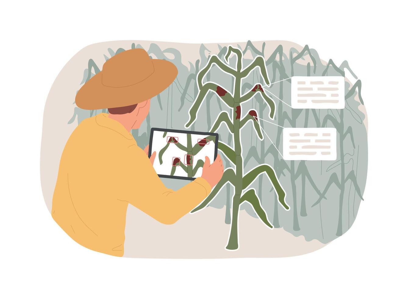 Crop diseases detection isolated cartoon illustrations. vector