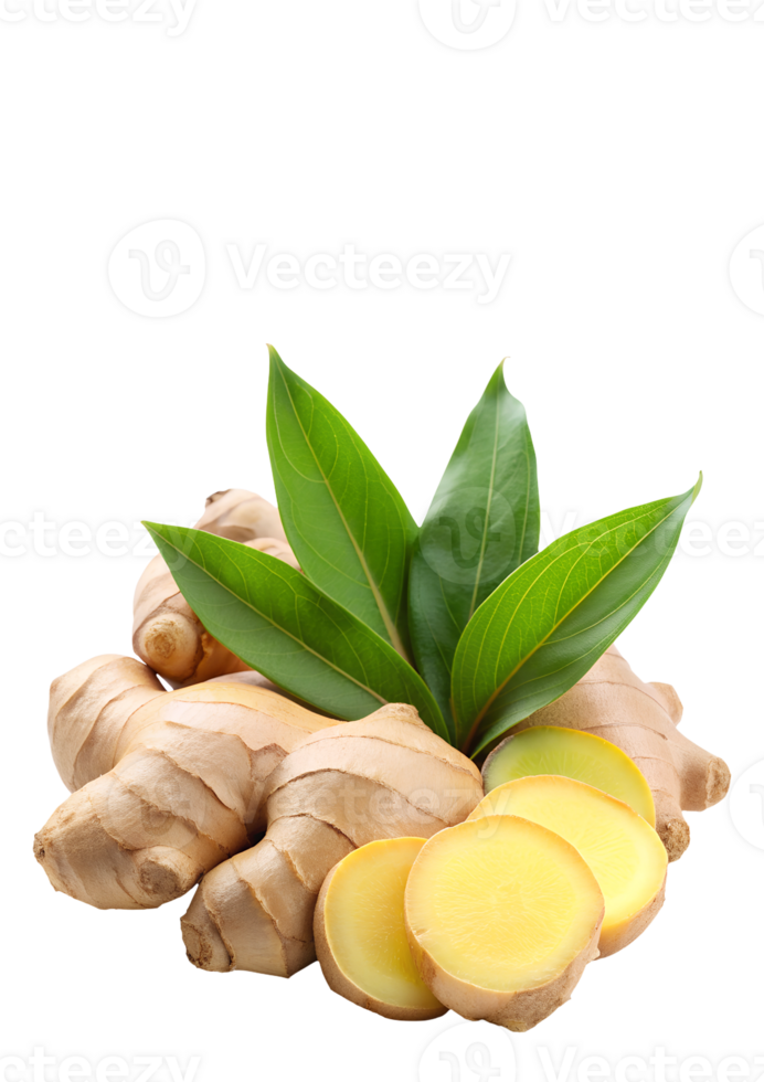 Whole ginger root and sliced pieces on a clean background png