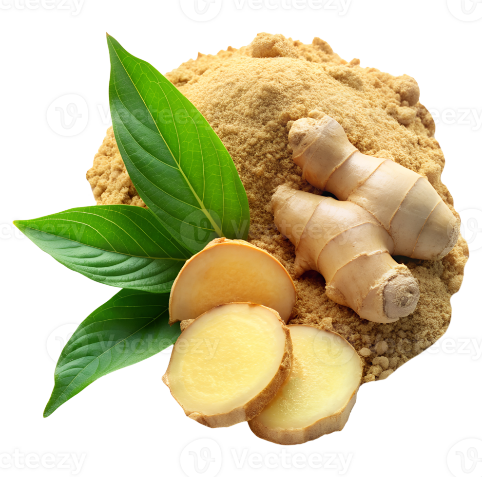 Various types of ginger on one background powder slices and root png
