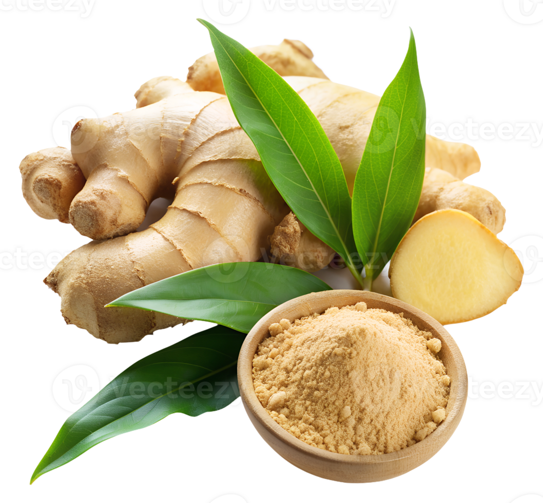 Ginger in different forms ground slices and whole root png