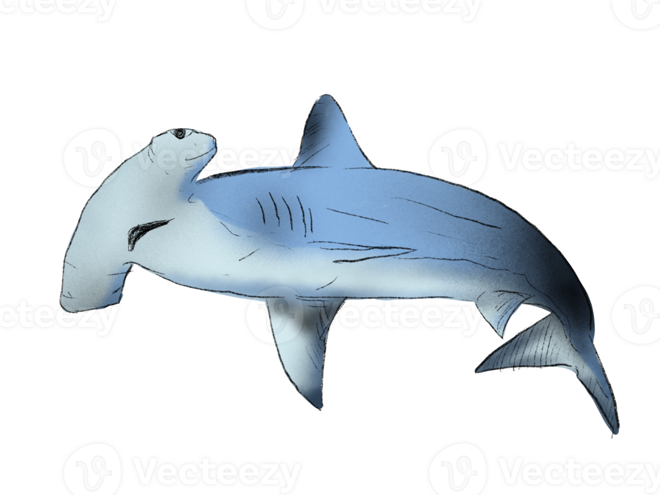 Watercolor hammerhead shark png