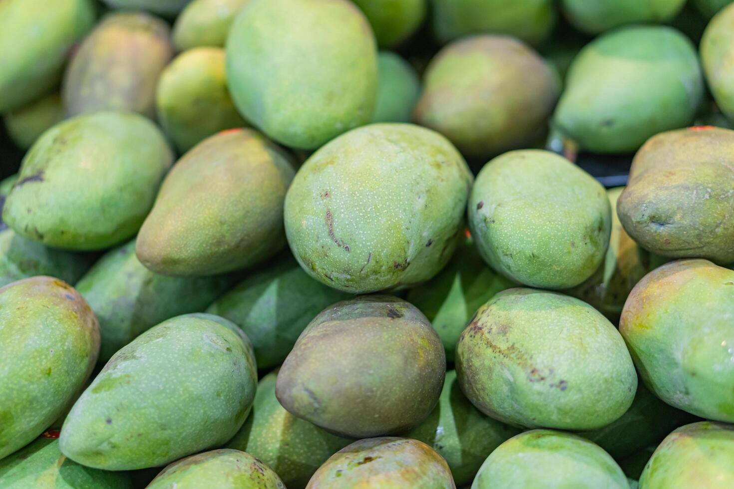 A pile of green mangoes photo