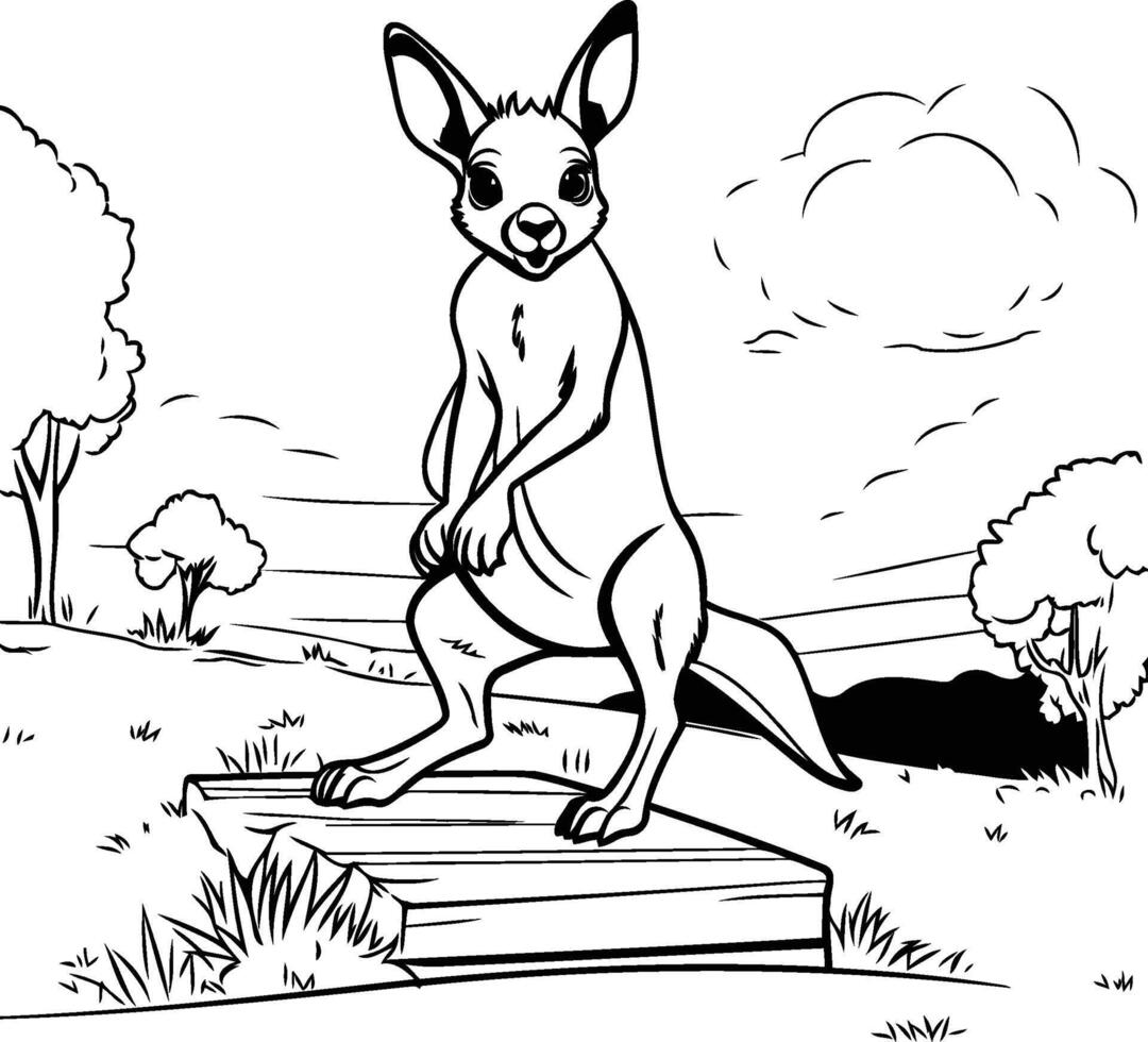 Australian kangaroo coloring pages vector