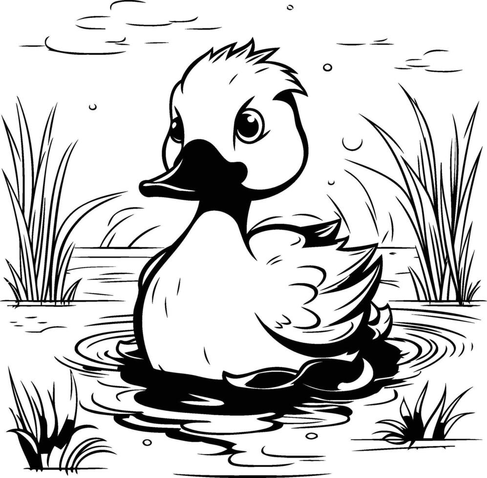 A duck swimming in the water coloring page vector