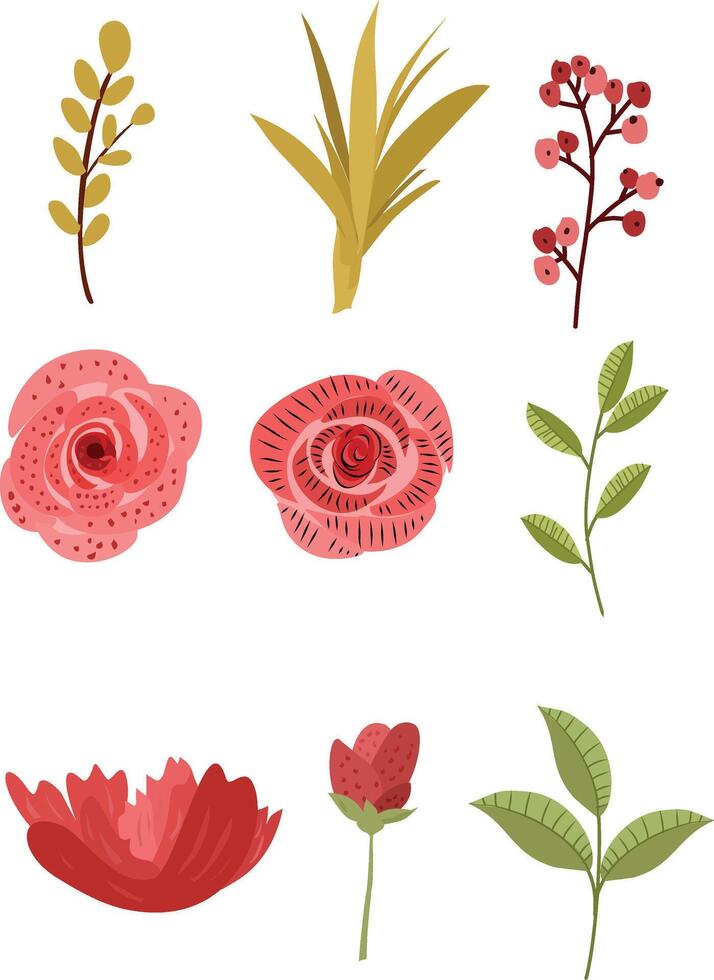 Rose. Red rose flower, as well as green leaves isolated on white background. Rose design elements set vector