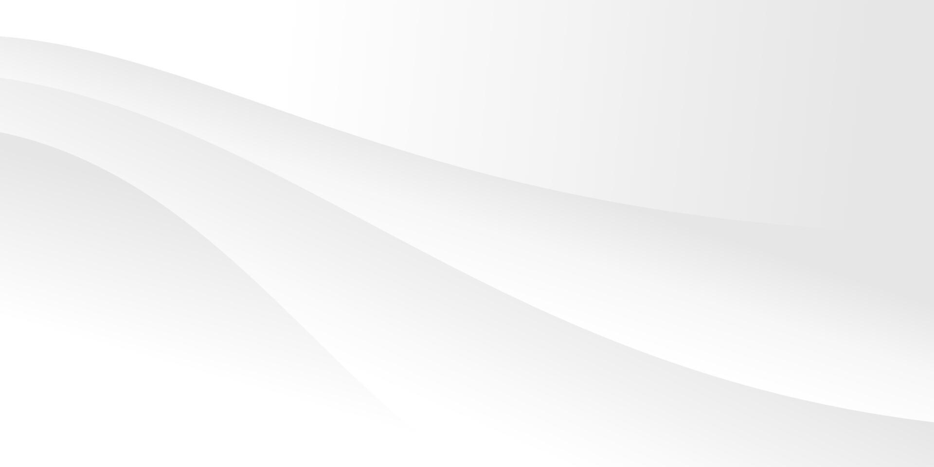 white background with curve line elegant graphic luxury design decoration vector