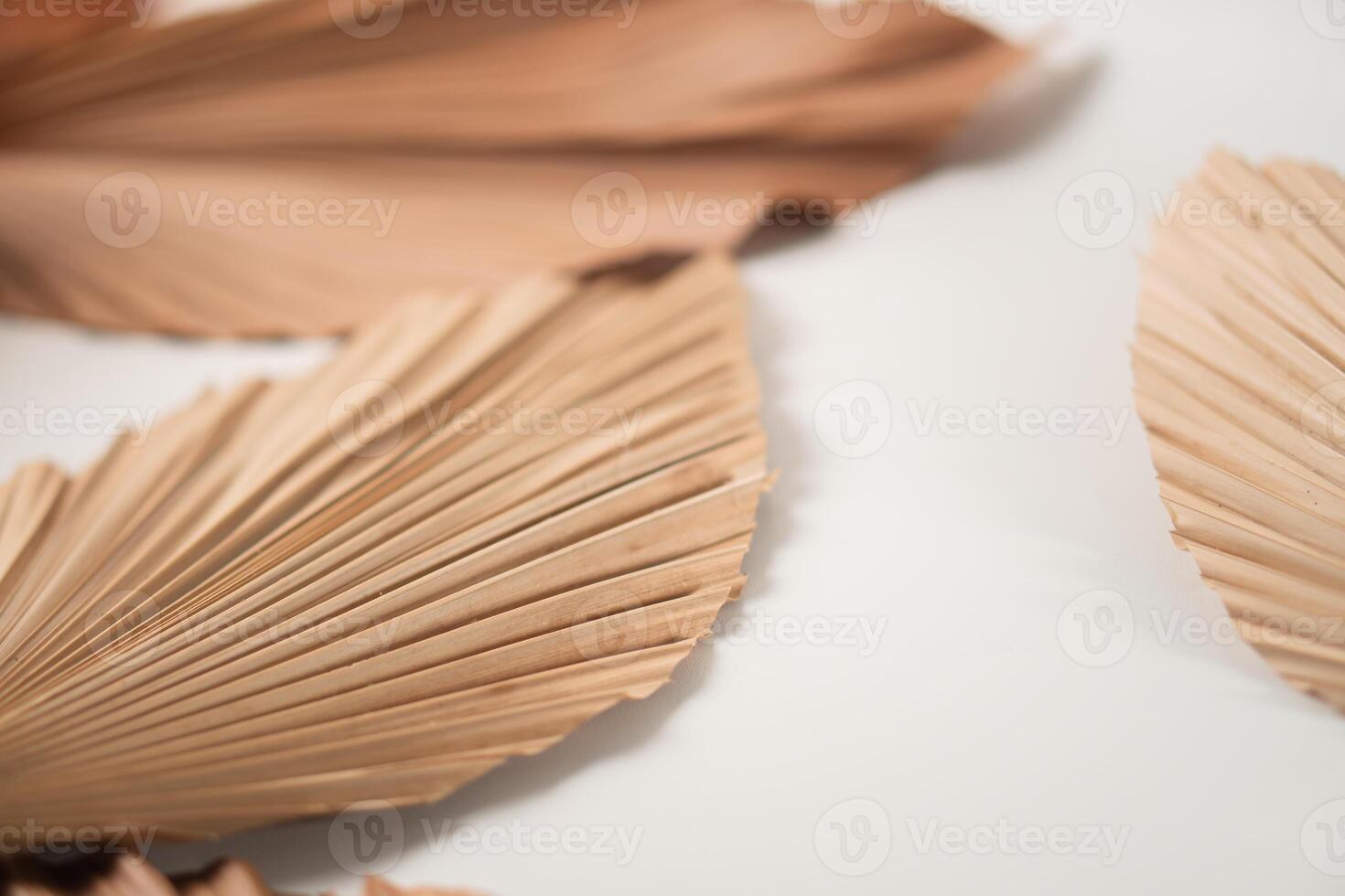 Dried Palm Leaves Arrangement photo