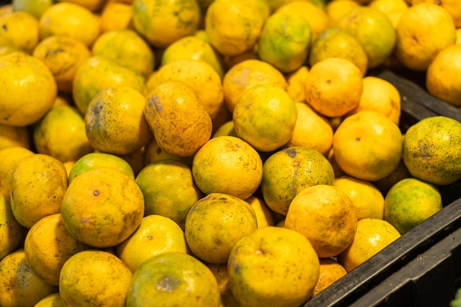 Fresh Citrus Fruits in Market Display photo