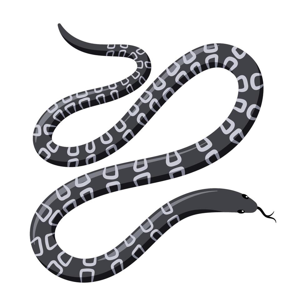 Black exotic tropical snake. Cartoon flat illustration vector