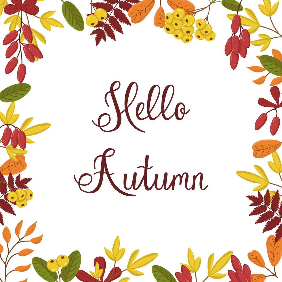 frame of leaves and berries of barberry and pyracantha. Botanical illustration for greeting card and banner. Autumn background with text. vector