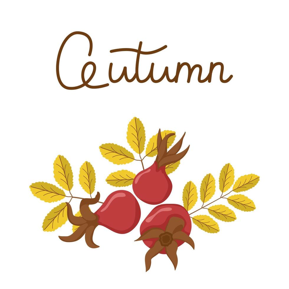 drawing with rosehip berry and leaves. Botanical illustration for greeting card and banner. Autumn composition with text. vector