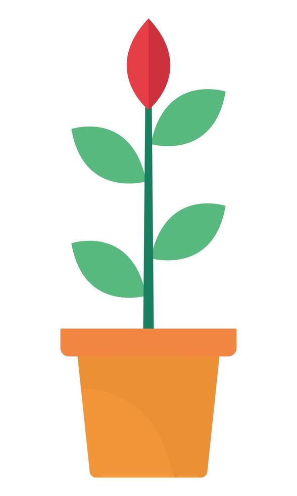 Flat icon of plant with leaves in pot isolated on white background. vector