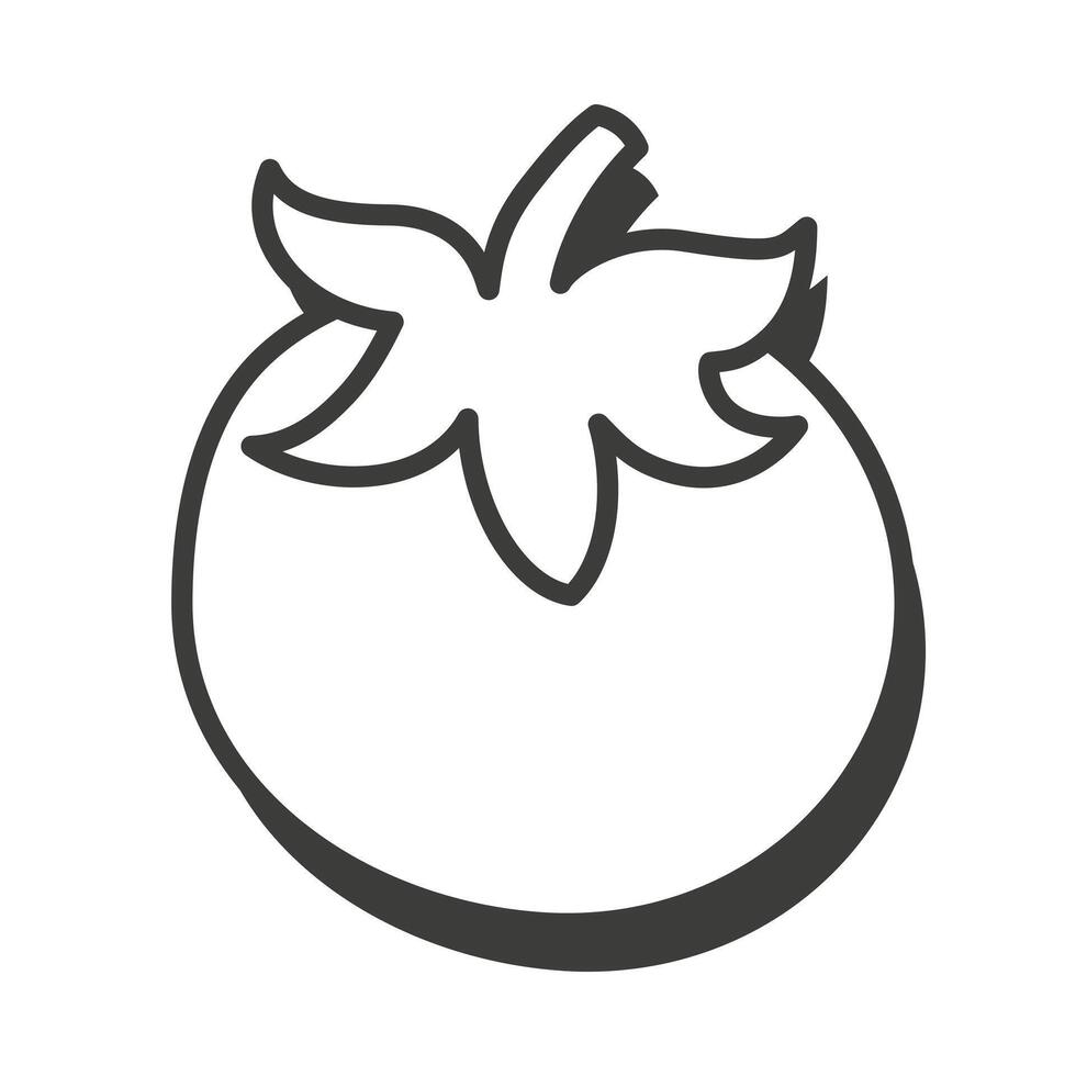 Tomato in a thin line. Tomato icon. Tomato with shadow. vector