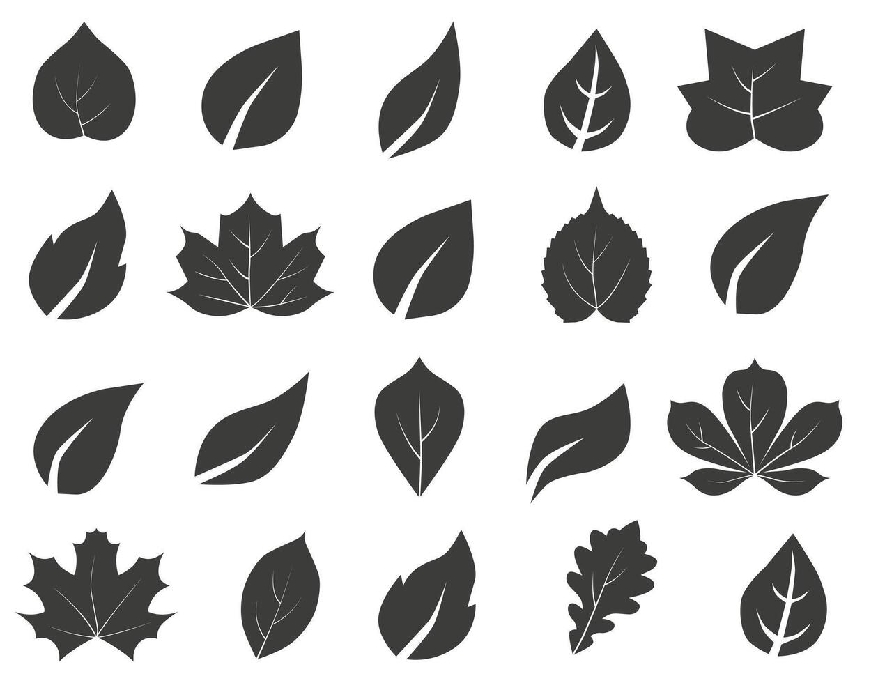 Set of silhouettes of autumn leaves. Autumn design element. vector