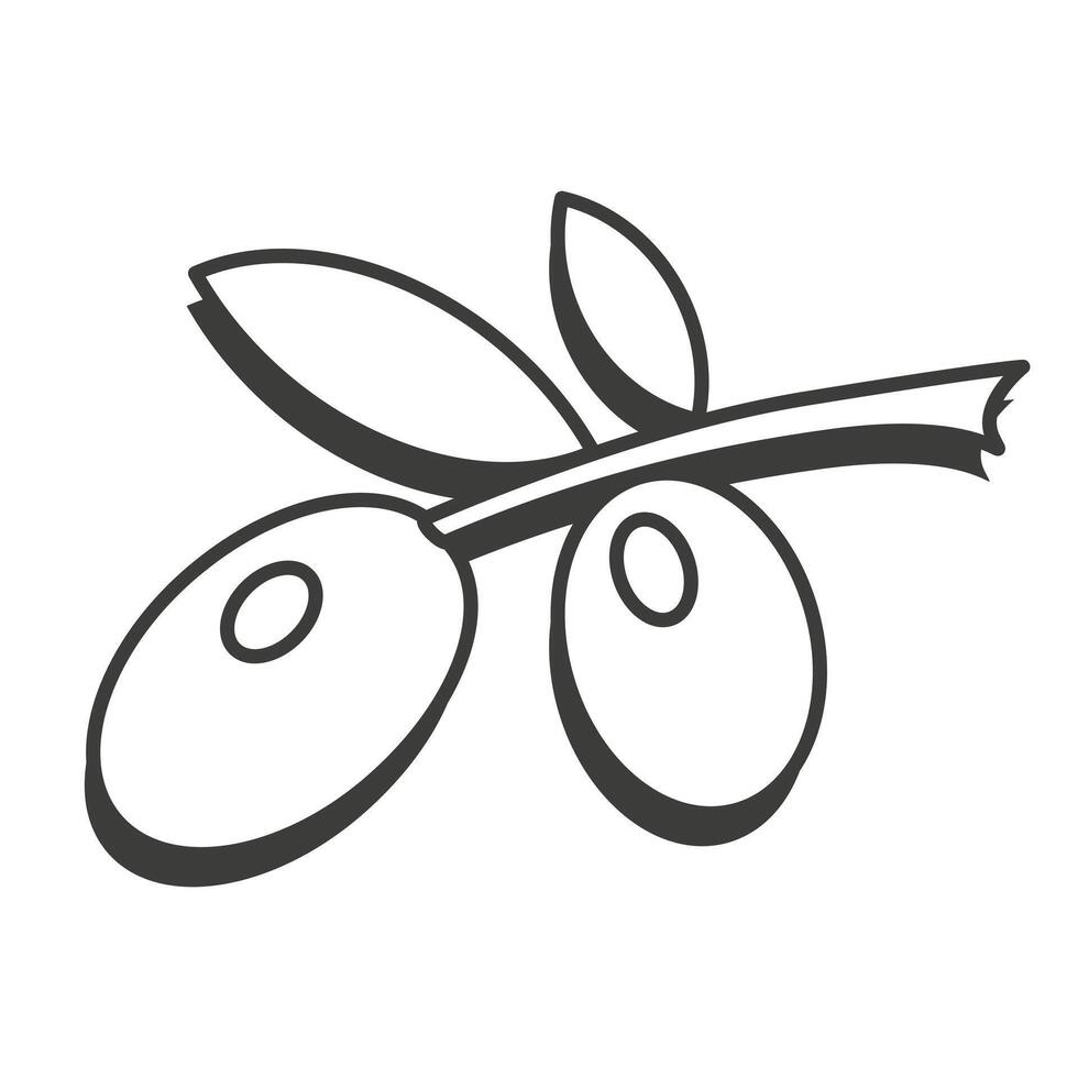 Olives on a branch in a thin line. Olives icon. Olives with shadow. vector
