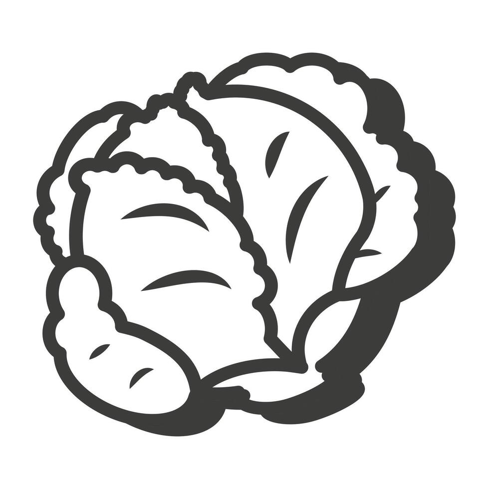 Cabbage in a thin line. Cabbage icon. Cabbage with a shadow. vector