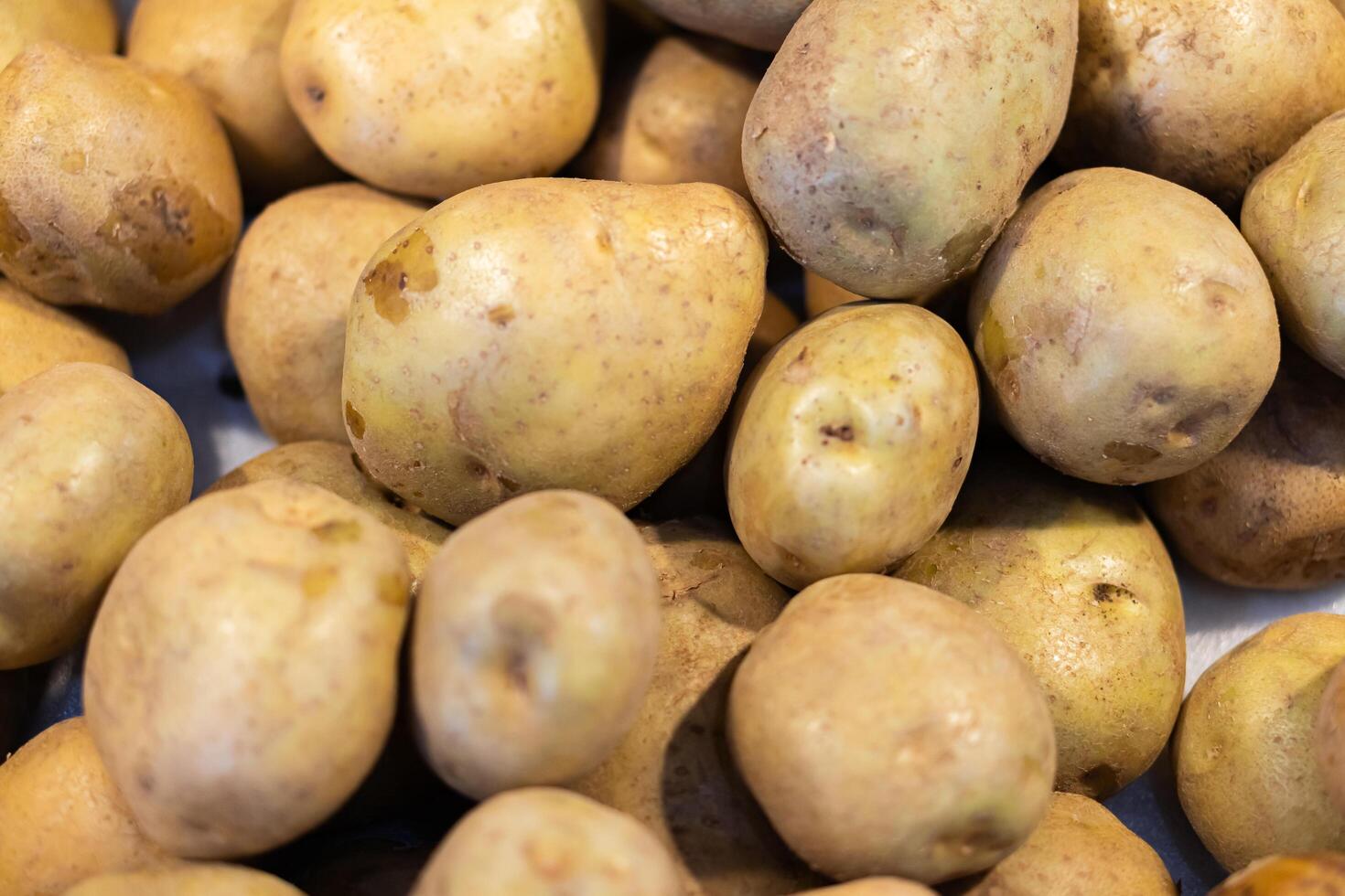 Close-Up of Raw Potatoes photo