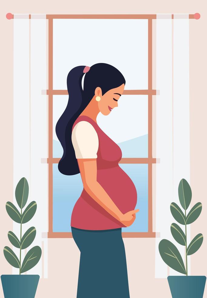 Pregnant Lady near window vector