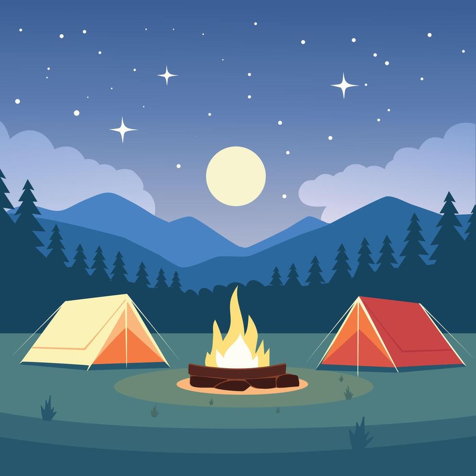 Campaign in starry night vector