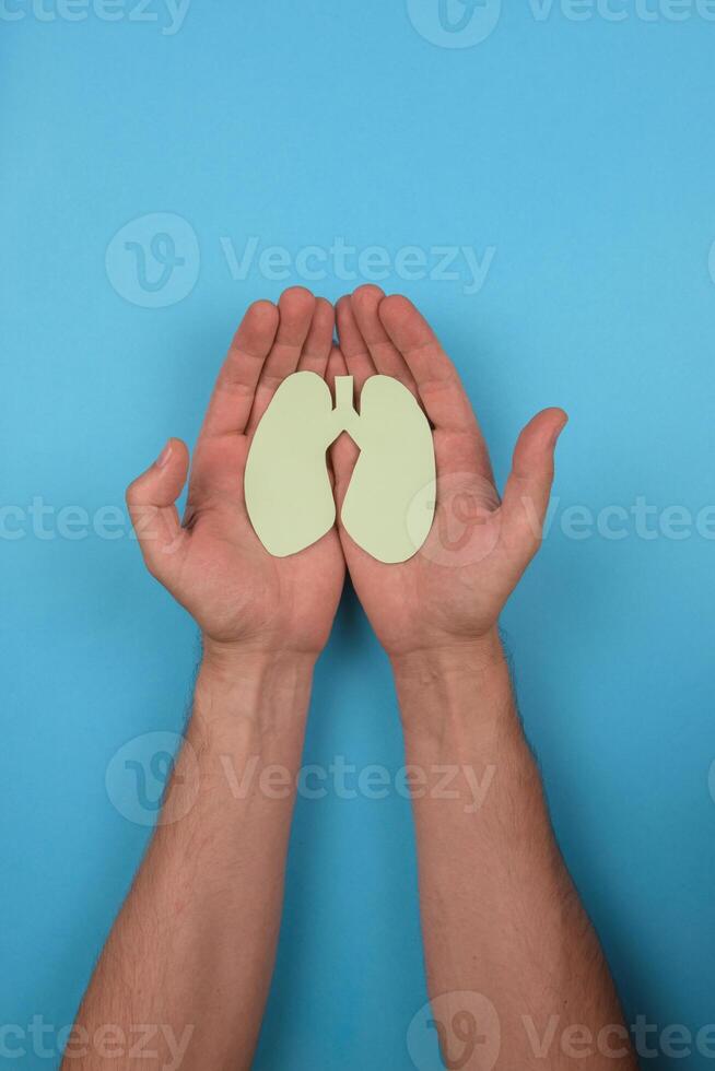 Women's hands hold a paper lungs symbol photo