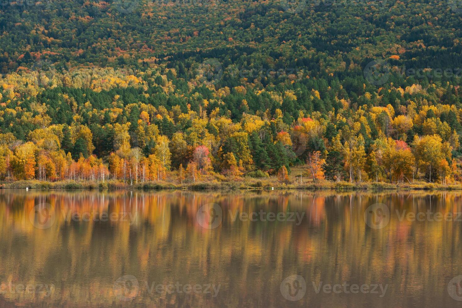 Autumn reflections lake photo