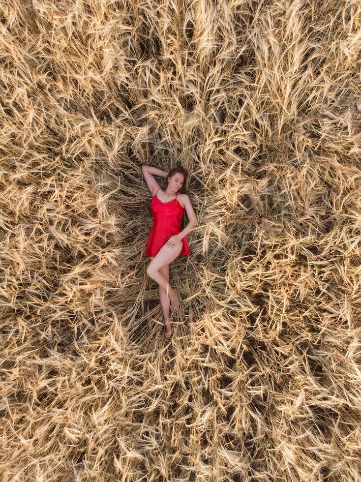 Aerial view of woman in red dress lying in the field of wheat photo