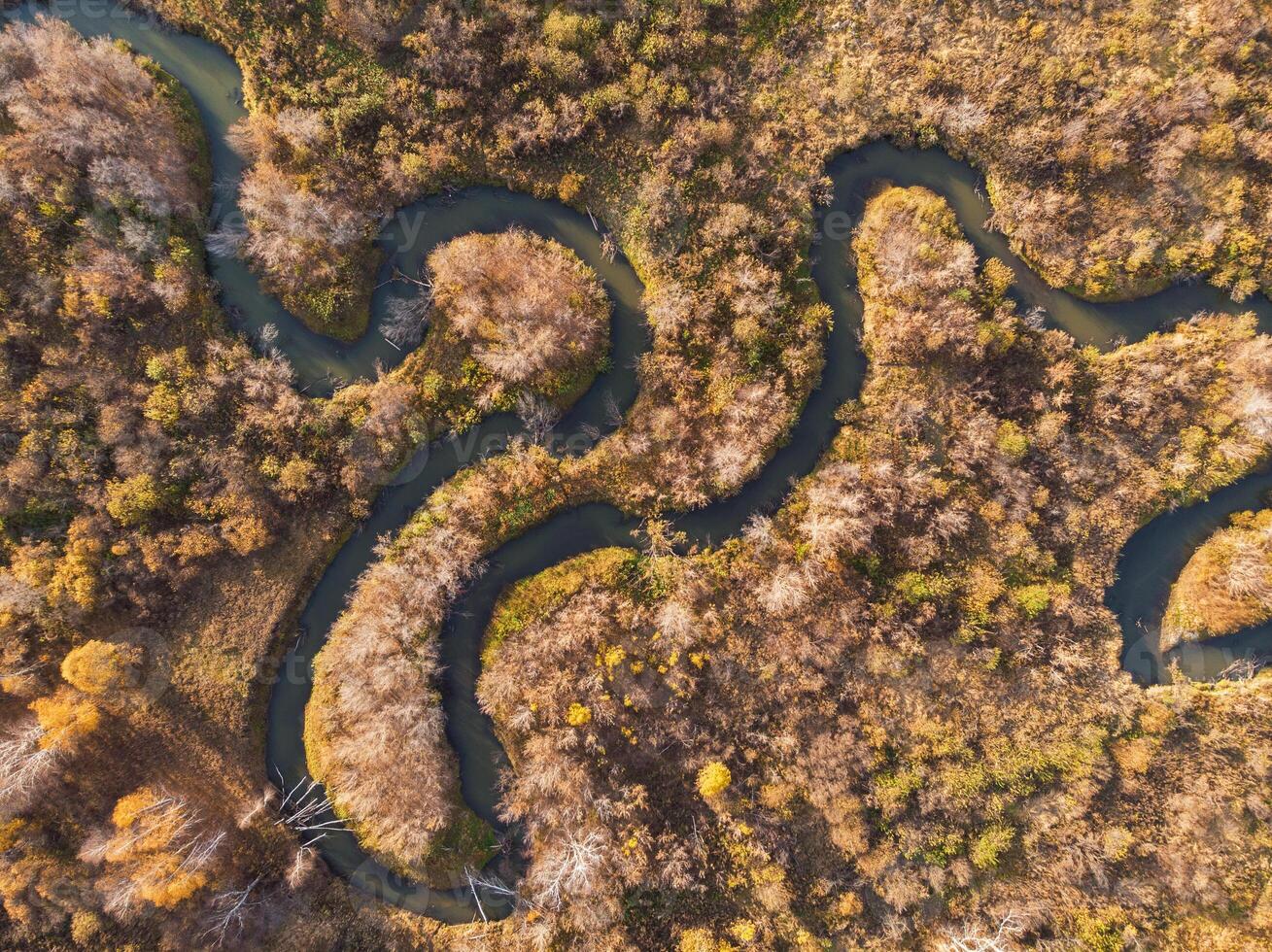 autumn landscape with river. photo