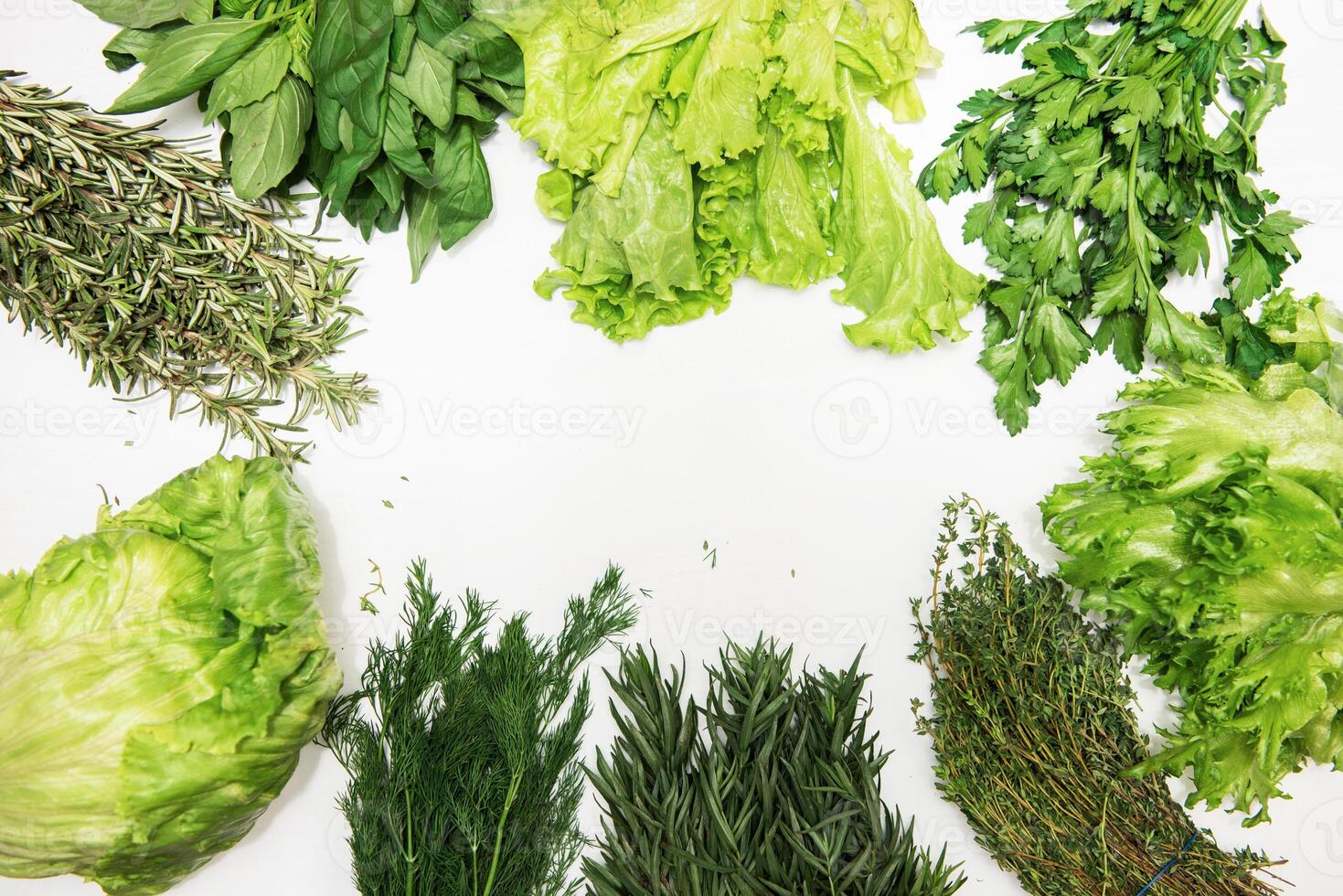 Different types of fresh garden herbs photo