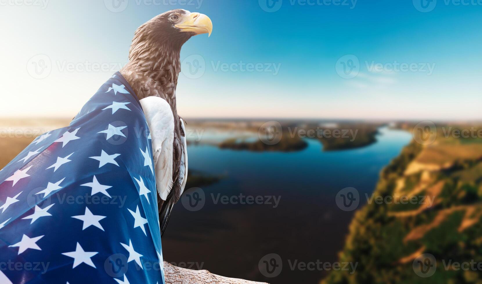 Eagle With American Flag photo