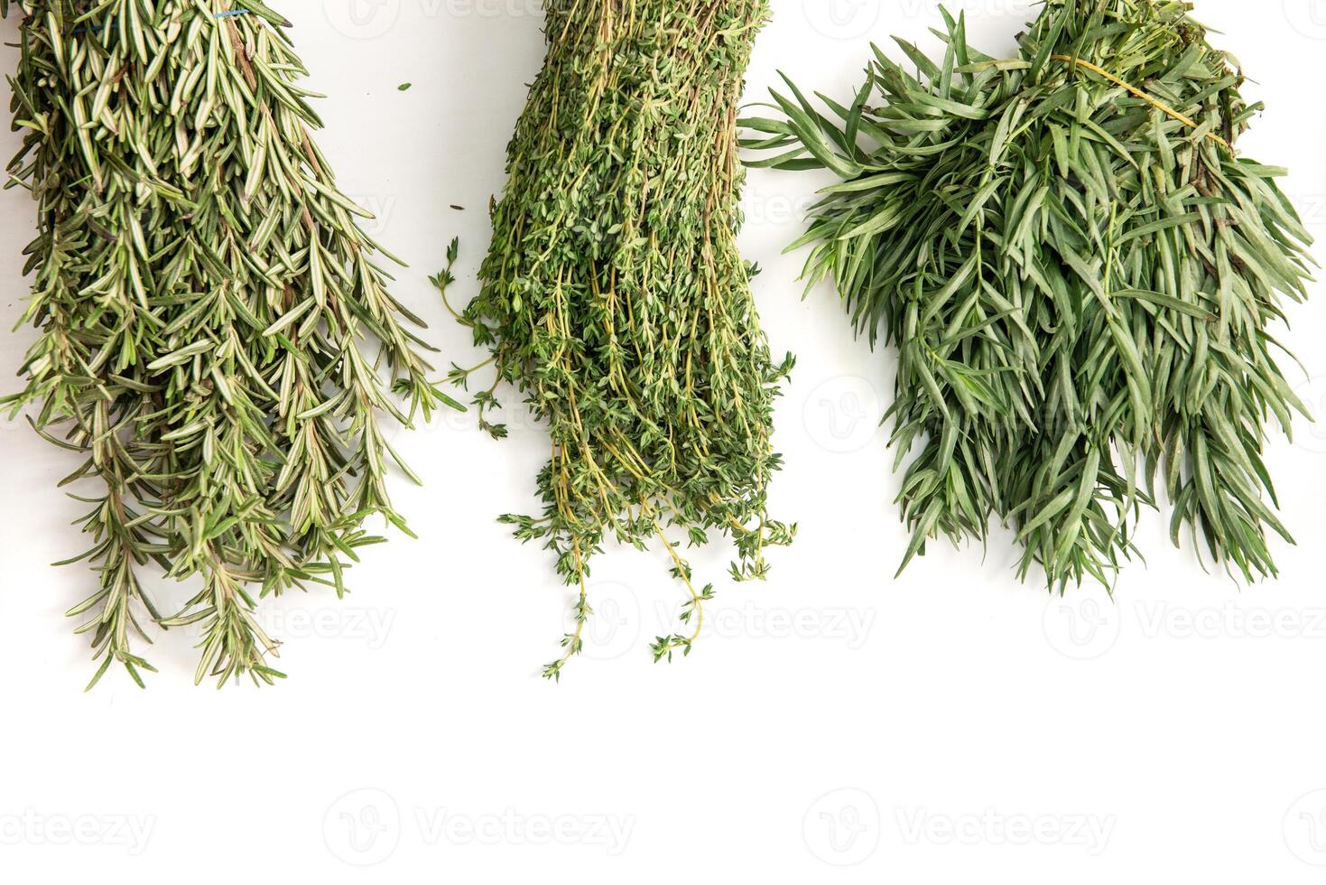 Thyme Rosemary Tarragon photo